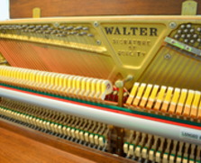 Charles R Walter studio, walnut